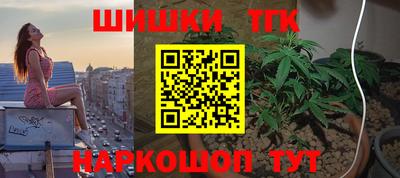 скорость Кингисепп