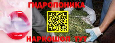 меф Кимры