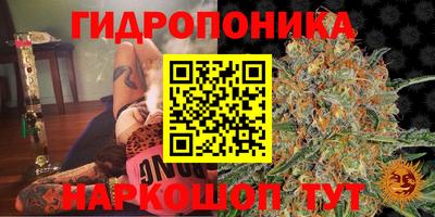 марки lsd Кинель