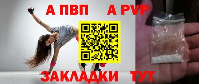 скорость Кингисепп