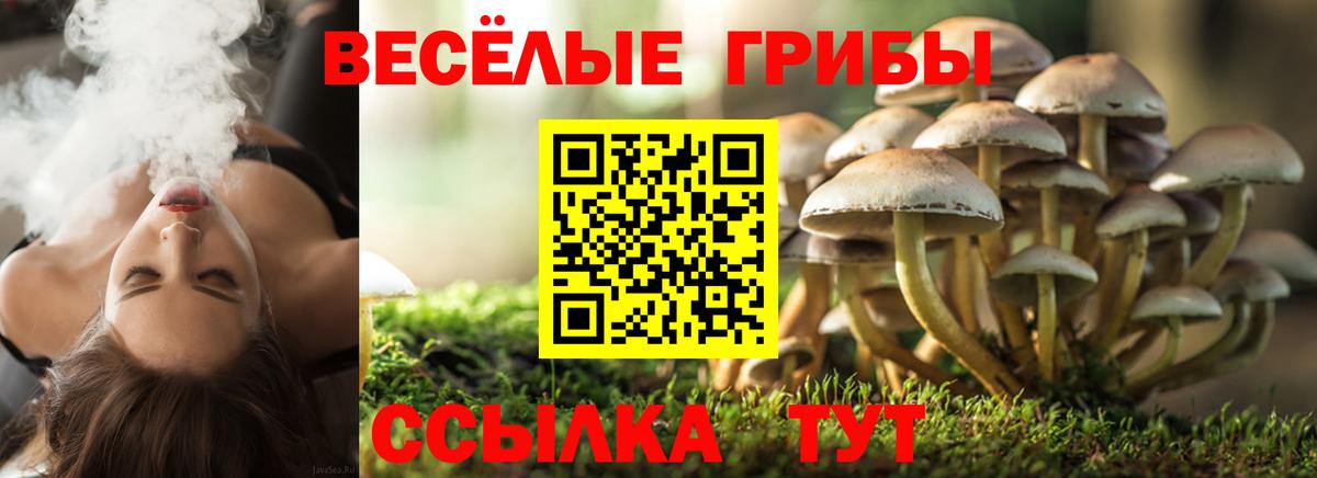 Псилоцибиновые грибы Cubensis  дарнет шоп  Чистополь  Вход с VPN 
